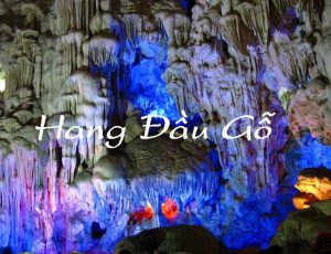 Hang Đầu Gỗ Hạ Long, hang nhũ đá trên tuyến 1