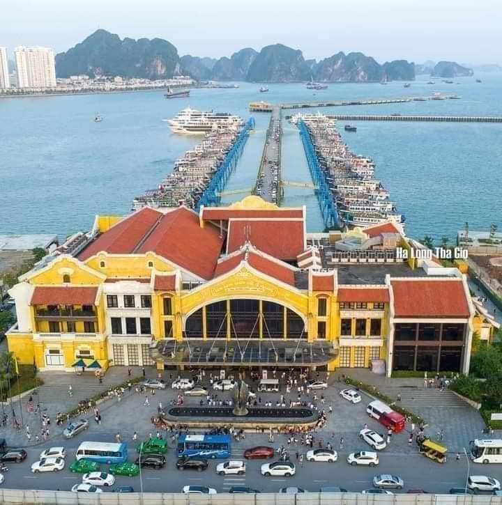 chọn tour an toàn Hạ Long tại cảng tàu quốc tế