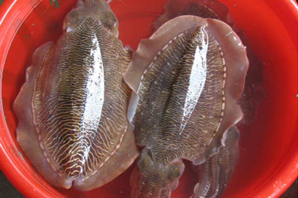 Hải sản Quảng Ninh đóng gói làm quà