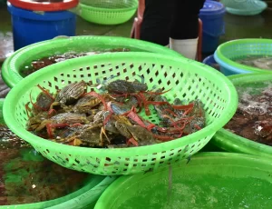 Hải sản Hạ Long tươi ngon tại Nhà hàng Tiên Long