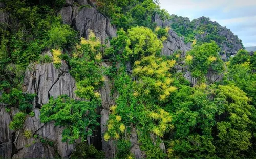 Hệ Sinh Thái Vịnh Hạ Long
